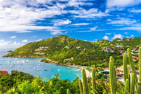 rivenditori saint barth campania